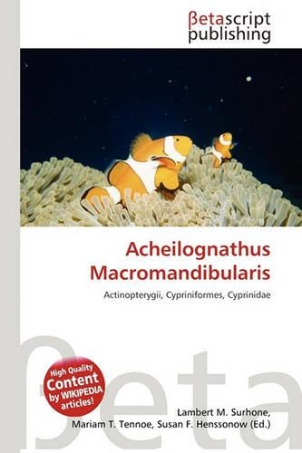 Acheilognathus Macromandibularis