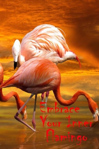 Embrace Your Inner Flamingo