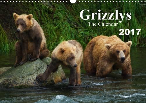 Grizzlys - The Calendar UK-Version 2017