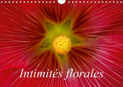 Intimités florales 2019