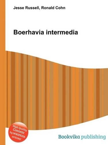 Boerhavia Intermedia