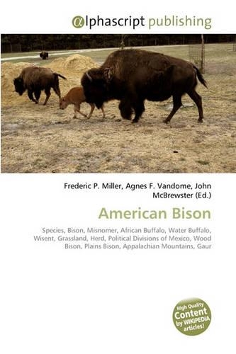 American Bison