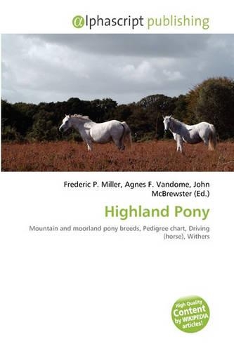 Highland Pony