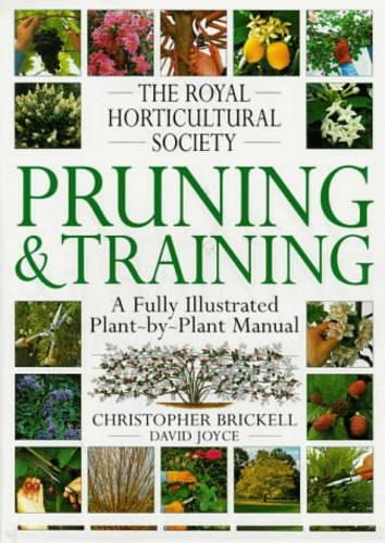 RHS Pruning & Training