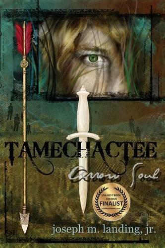 Tamechactee: Arrow Soul(English)