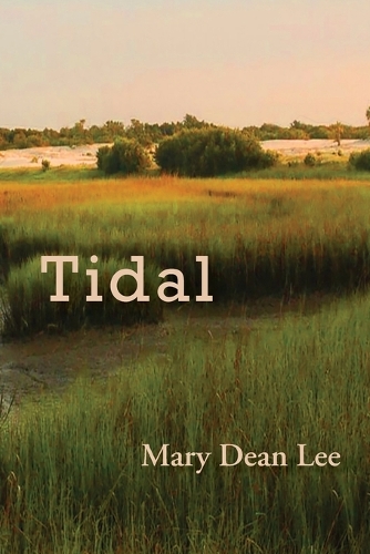 Tidal