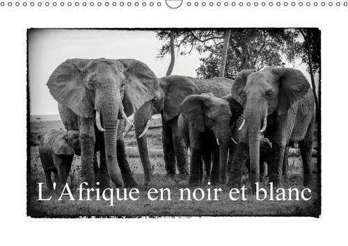 L' Afrique en noir et blanc 2016: Vision inhabituelle du Masai Mara(Calvendo Animaux)