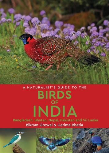 Naturalist's Guide to the Birds of India: Including Pakistan, Nepal and Bhutan