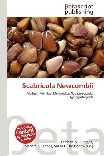 Scabricola Newcombii