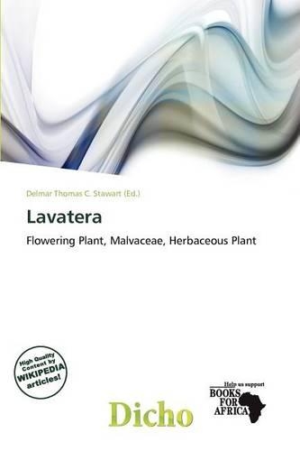 Lavatera