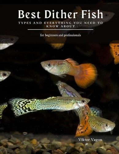 Best Dither Fish: Types And Everything You Need To Know About