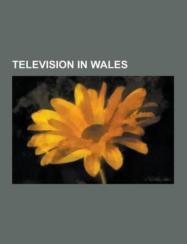 Television in Wales