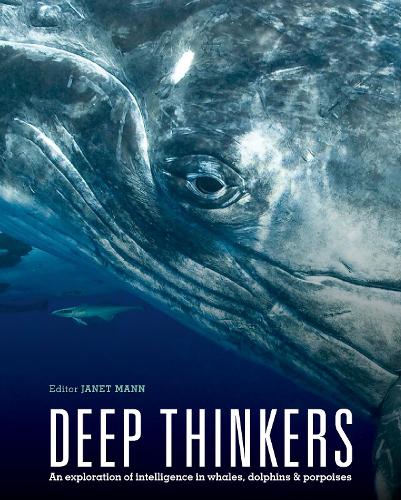 Deep Thinkers: An exploration of intelligence in whales, dolphins, and porpoises