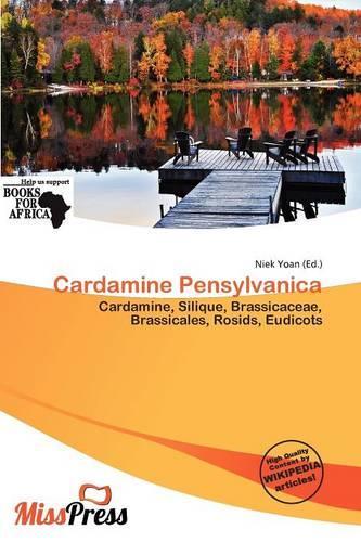 Cardamine Pensylvanica: (English)