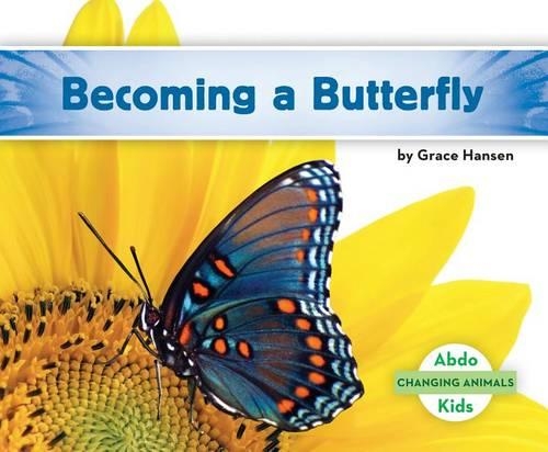 Becoming a Butterfly: (Changing Animals)