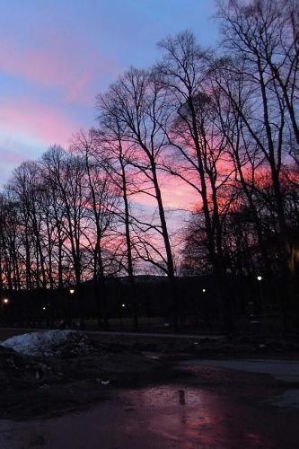 Oslo Norway Notebook