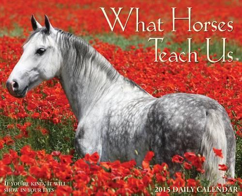What Horses Teach Us Calendar