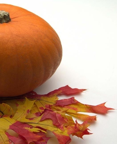 School Composition Book Fall Leaves Pumpkin 130 Pages