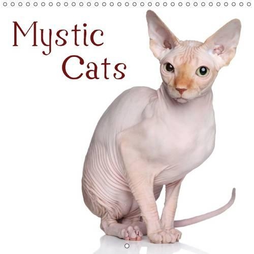 Mystic Cats 2016: Exotic and royal beauties(Calvendo Animals)