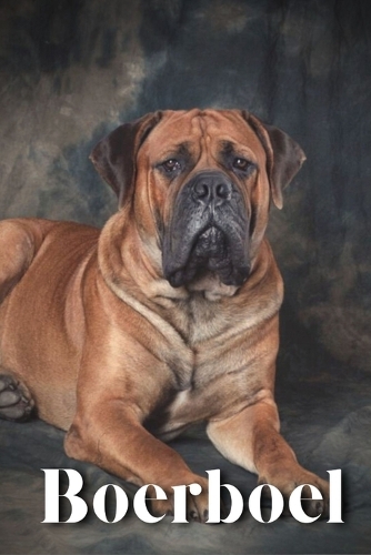Boerboel