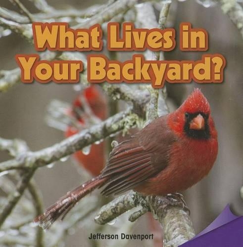What Lives in Your Backyard?: (Infomax Readers)