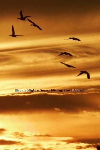 Birds in Flight at Sunset 100 Page Lined Journal