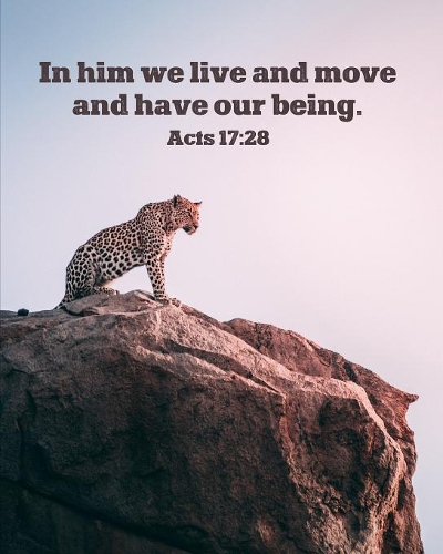 In Him We Live and Move and Have Our Being - Acts 17