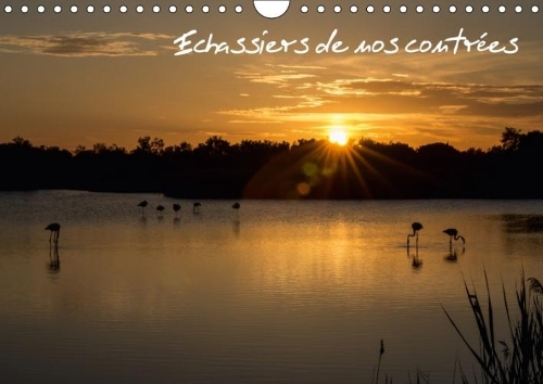 Echassiers De Nos Contrees 2018