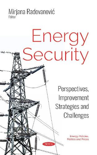 Energy Security