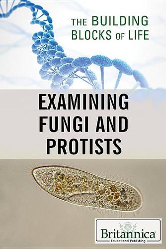 Examining Fungi and Protists: (Building Blocks of Life)