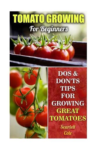 Tomato Growing For Beginners