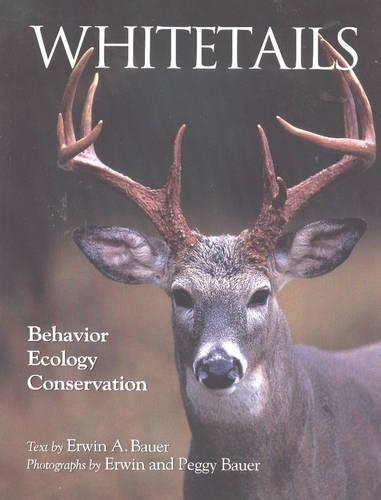 Whitetails