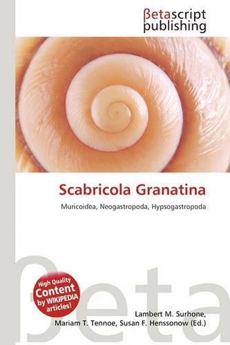 Scabricola Granatina