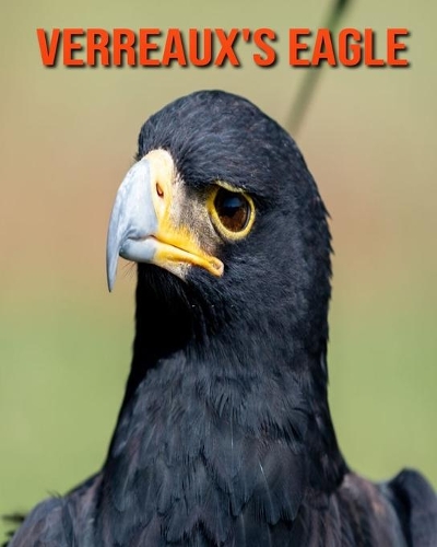 Verreaux's Eagle: Beautiful Pictures & Interesting Facts Children Book About Verreaux's Eagle