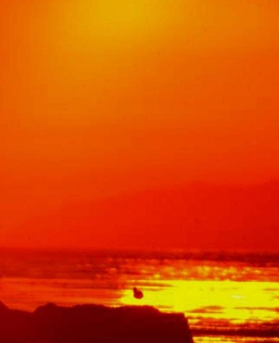 Orange Sky Sunset School Composition Book 130 Pages