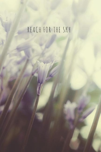 Reach for the Sky: Journal, Notebook or Diary (Flowers, Garden, Blooms) - Blank lined, 6 x 9 inches, 150 pages(Words & Flowers)