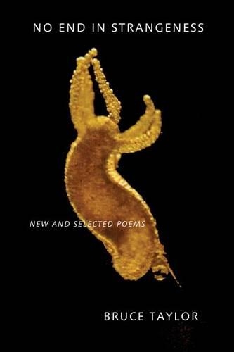 No End in Strangeness: New and Selected Poems(English)