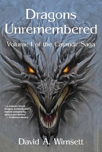 Dragons Unremembered