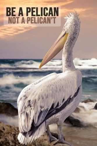 Be a Pelican Not a Pelican't
