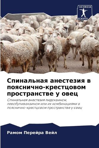 Спинальная анестезия в пояснично-крестцо