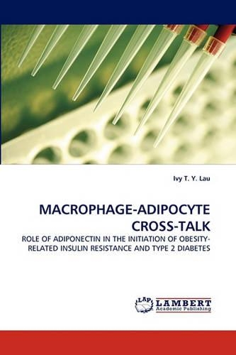Macrophage-Adipocyte Cross-Talk