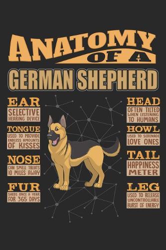Anatomy Of A German Shepherd