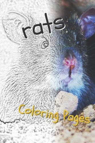 Rat Coloring Pages: Beautiful Rats Drawings for Kids and for Adults Relaxation