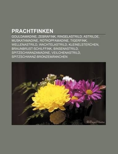 Prachtfinken