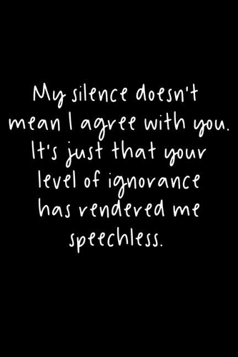 My Silence Doesn't Mean I Agree With You. It's Just That Your Level Of Ignorance Has Rendered Me Speechless.: 105 Undated Pages: Humor: Paperback Journal
