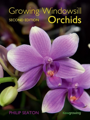 Growing Windowsill Orchids