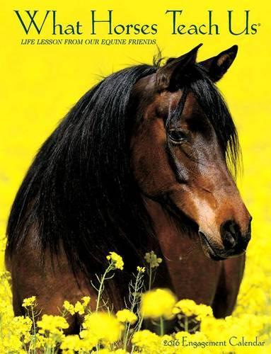 What Horses Teach Us Calendar