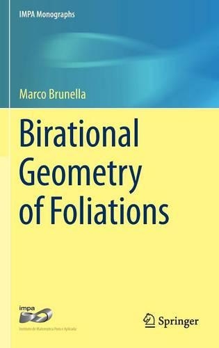 Birational Geometry of Foliations