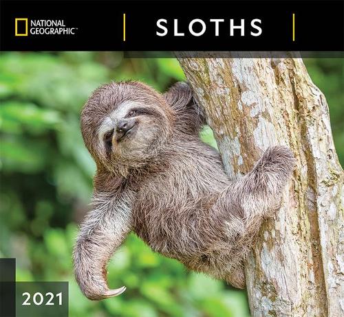 Cal 2021- National Geographic Sloths Wall