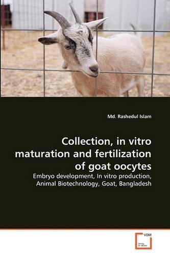 Collection, in vitro maturation and fertilization of goat oocytes